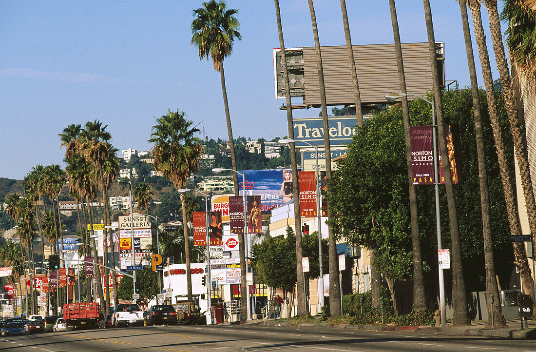 Sunset Boulevard in Los Angeles. California, USA