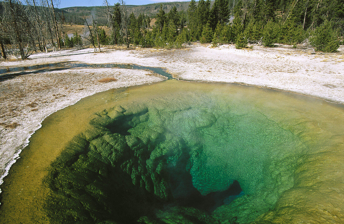 Morning Glory Pool. Yellowstone National Park. Wyoming. USA