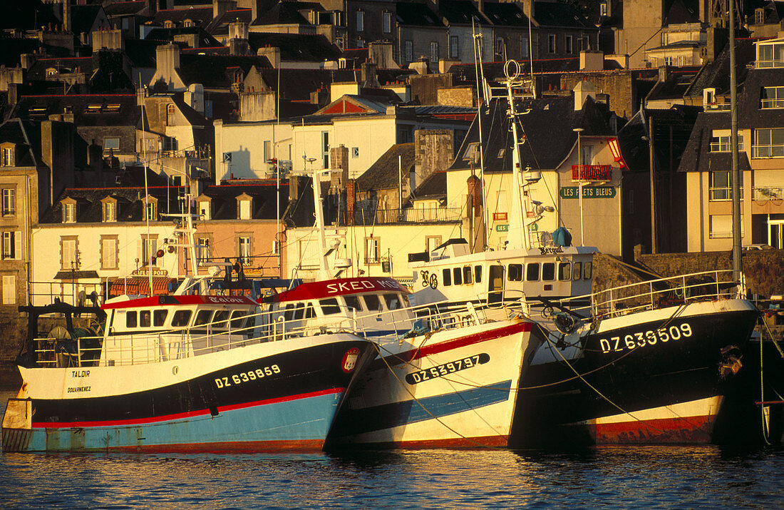 Fishing Harbour in Douarnenez. Brittany, France