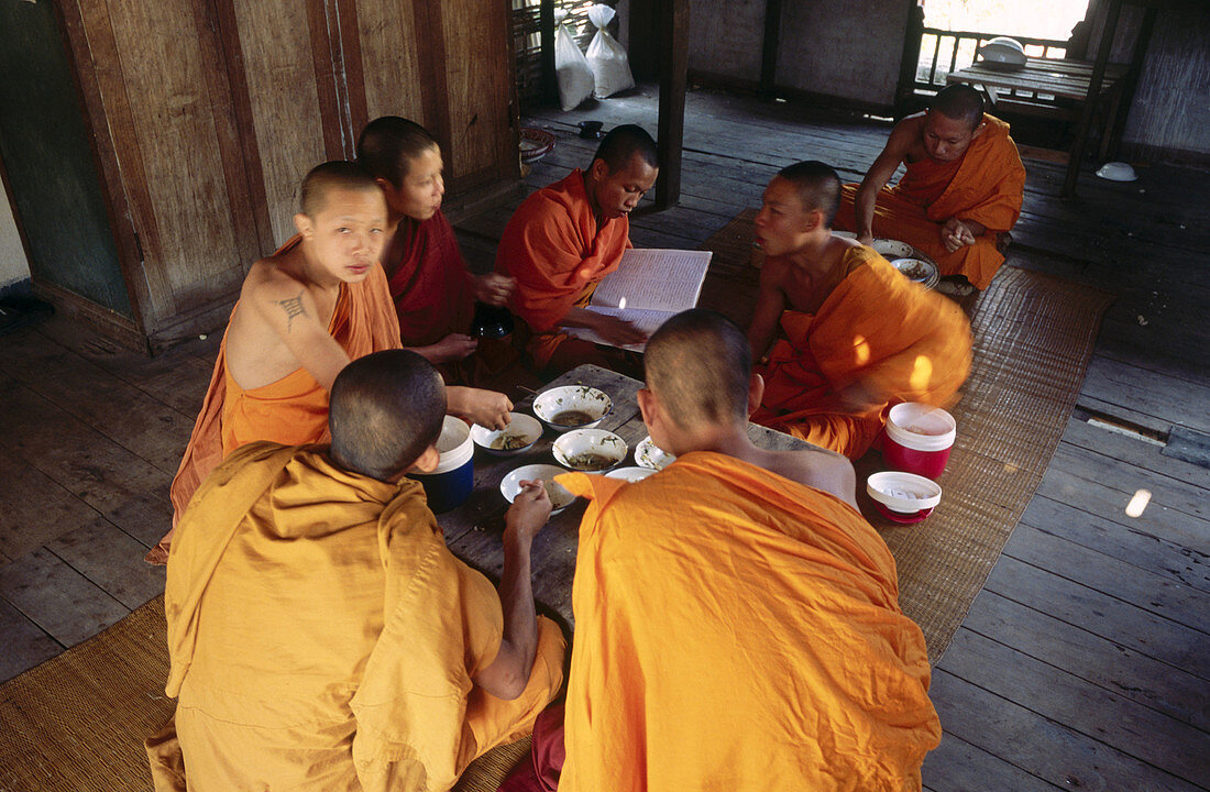 Young monks. Luang Prabang. Laos