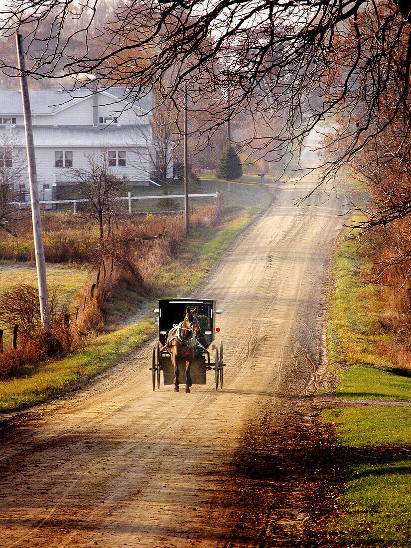 Amish buggy on country dirt road. Shipshawana. Indiana. USA
