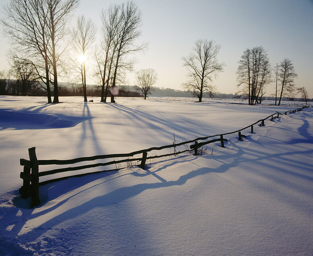 Winter landscape. Mazowsze region, central Poland