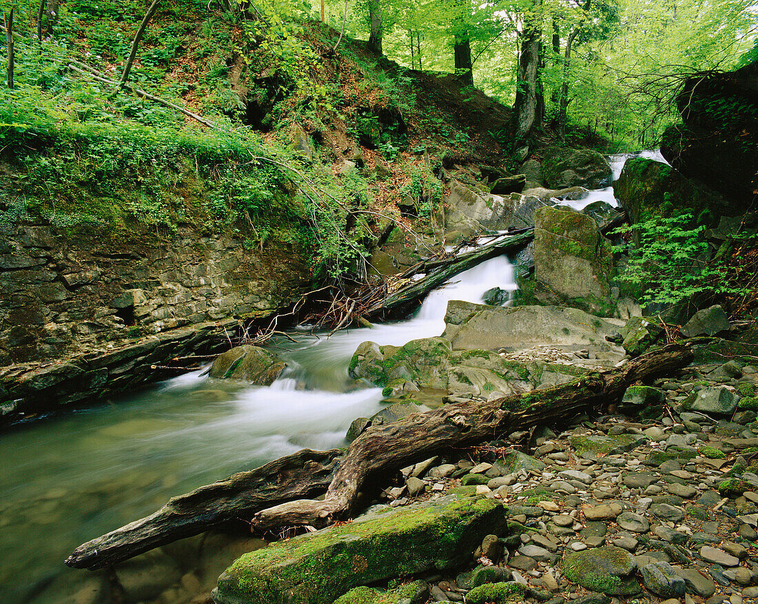 Mountain spring. Bieszczady mountains. South-eastern Poland