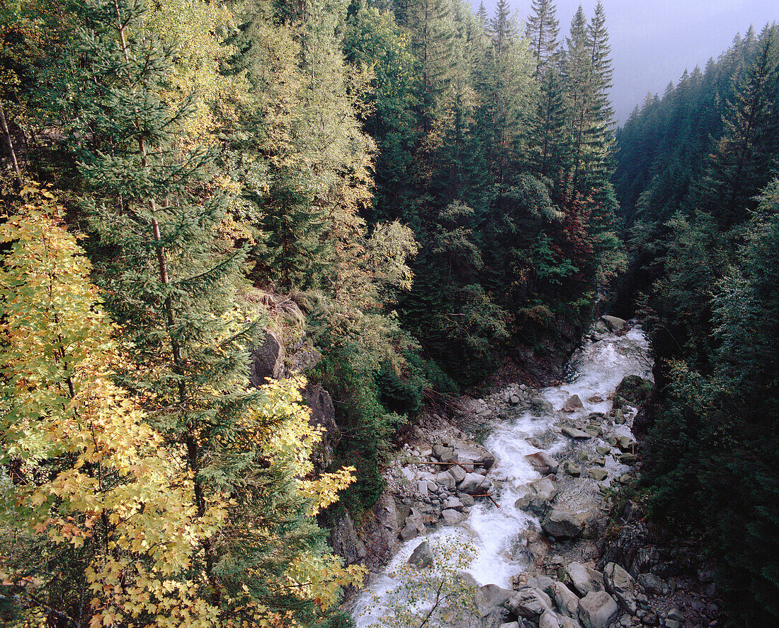 Mountain river. Tatra mountains. Poland.