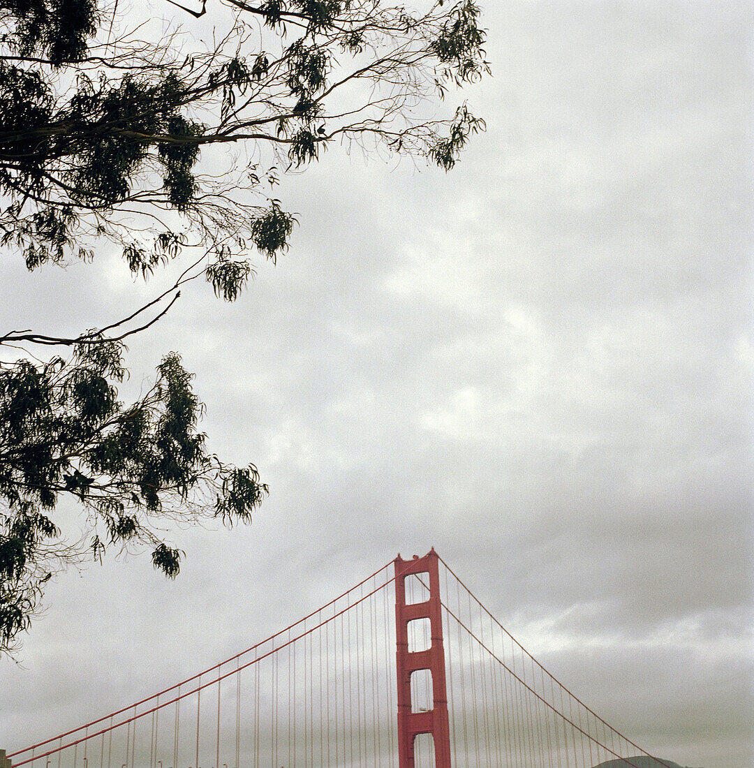 Golden Gate Bridge. San Francisco, California. USA