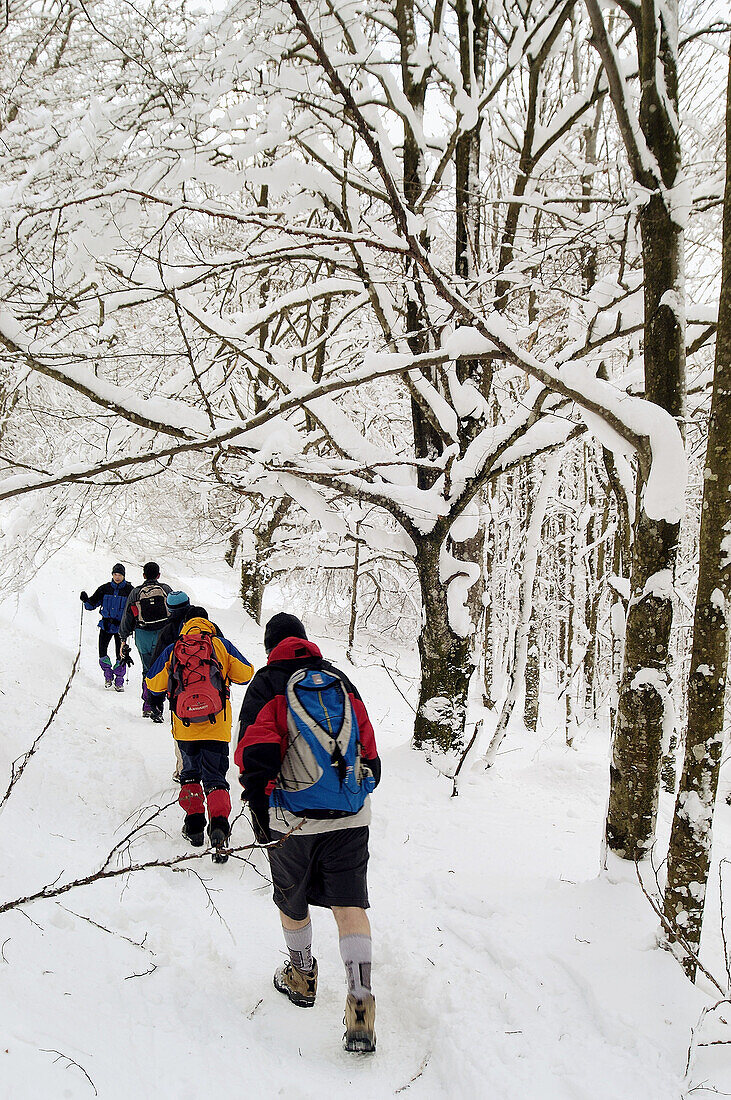 Snow hiking