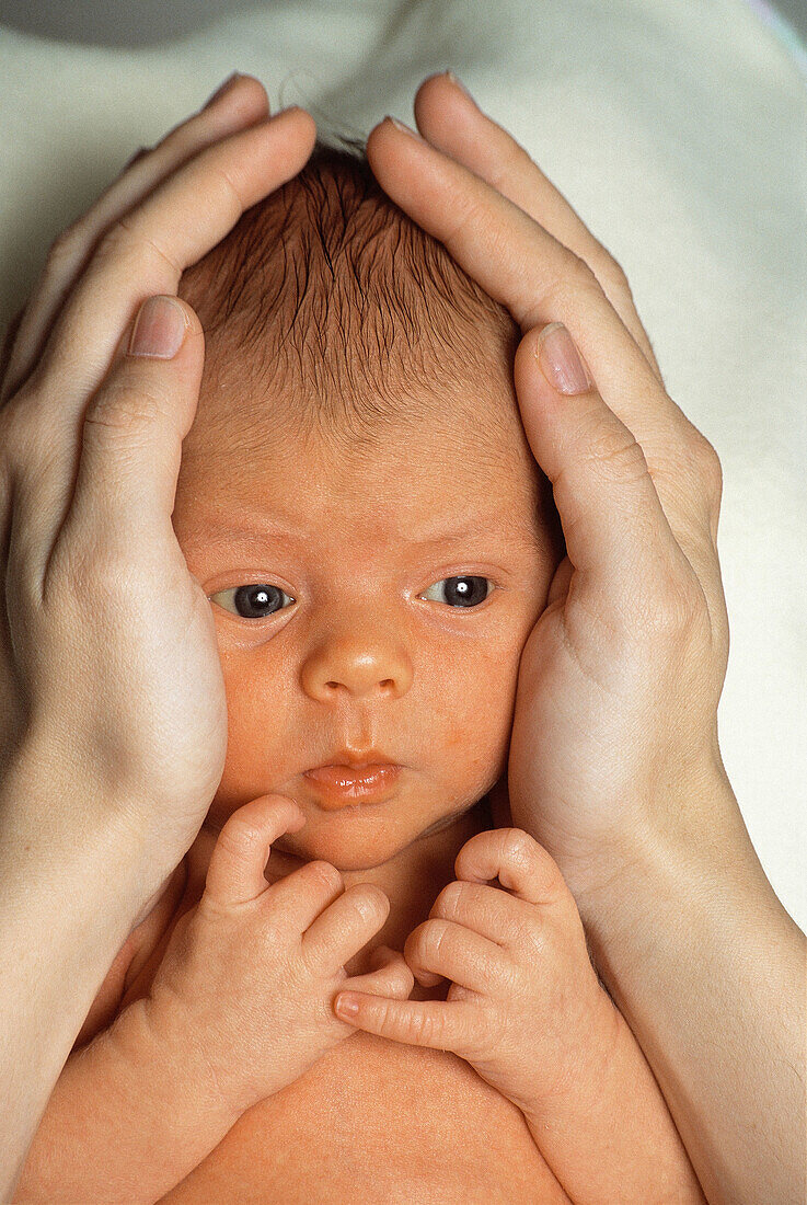  0 to 6 months, 0-6 months, 1 to 6 months, 1-6 months, Adult, Adults, Babies, Baby, Bond, Bonding, Bonds, Caucasian, Caucasians, Child, Children, Color, Colour, Contemporary, Delicate, Families, Family, Fragile, Fragility, Hand, Hands, Head, Heads, Hold, 