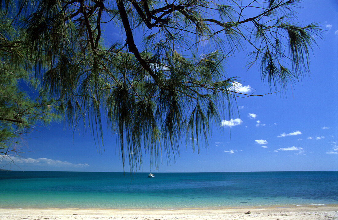 Beach on Wigram island, one of the islands in the archipelago of the English Compan's Islands, Australia