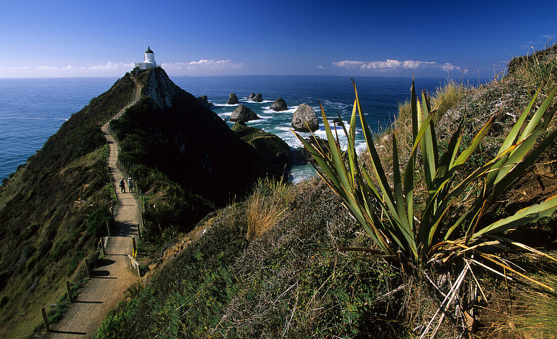 Leuchtturm am Nugget Point, Catlin Küste, Neuseeland