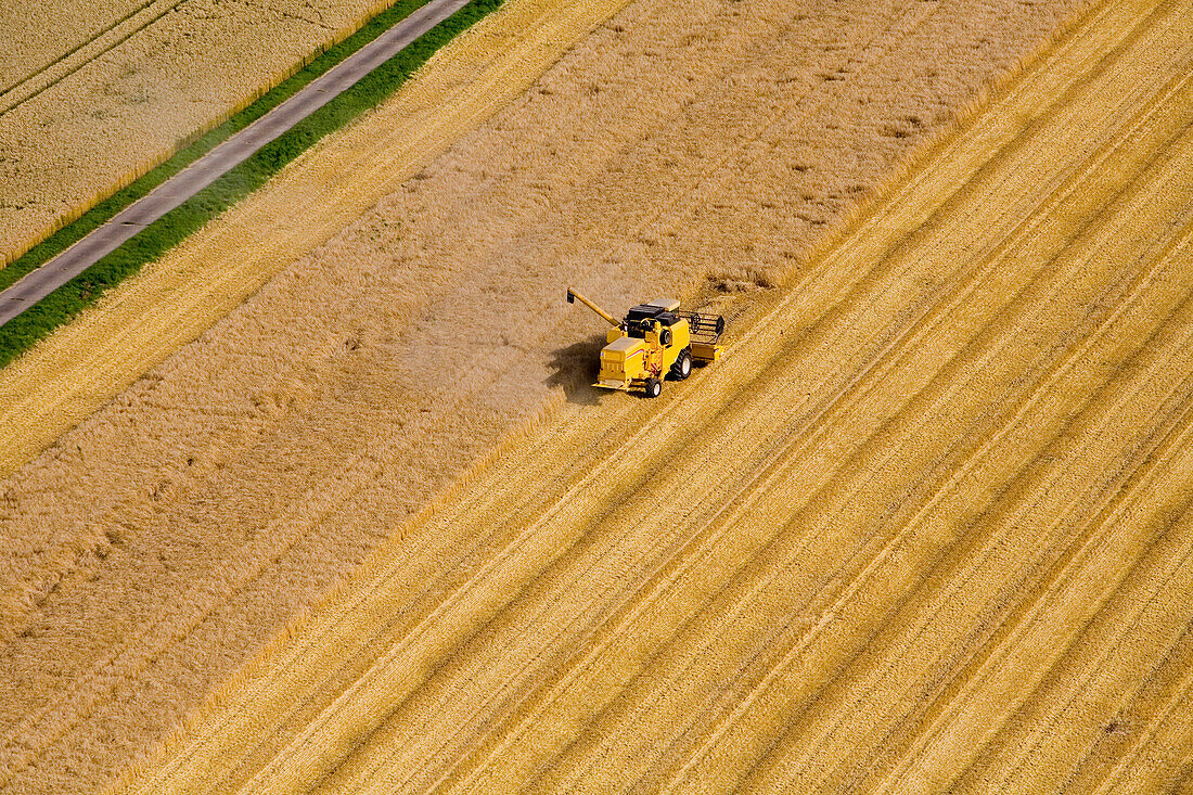 Aerial shot of combine harvester on grain field, Lower Saxony, Germany