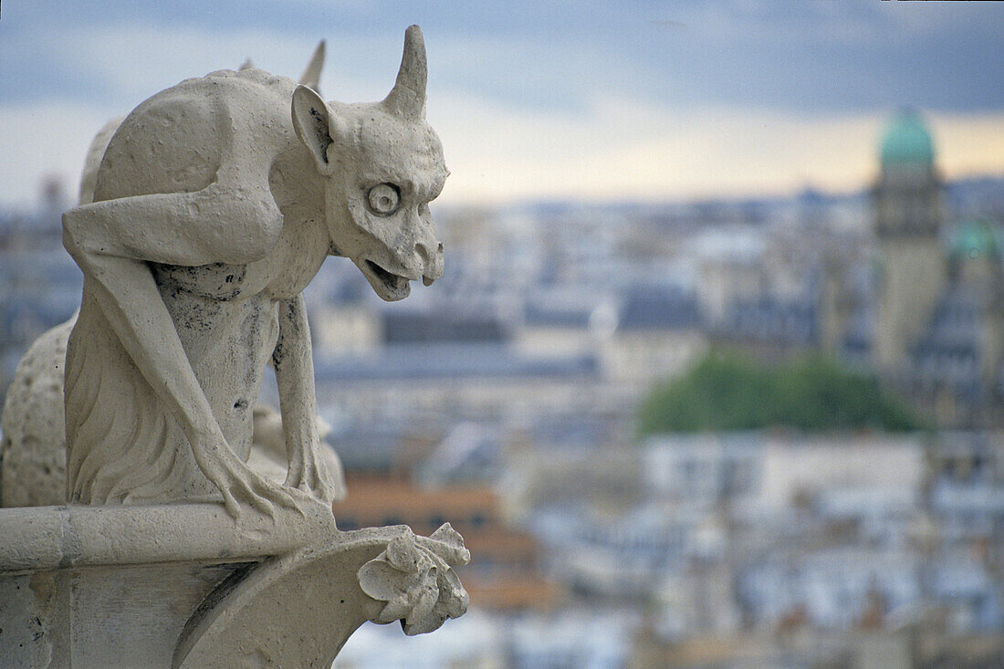 Aussicht von Kathedrale Notre Dame, gotische Kirche, grotesk, Dämon, Wasserspeier, Drolerie, 4. Arrondissement, Paris, Frankreich