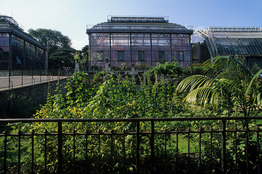 Jardin des Plantes, Botanischer Garten, 5. Arrondissement, Paris, Frankreich