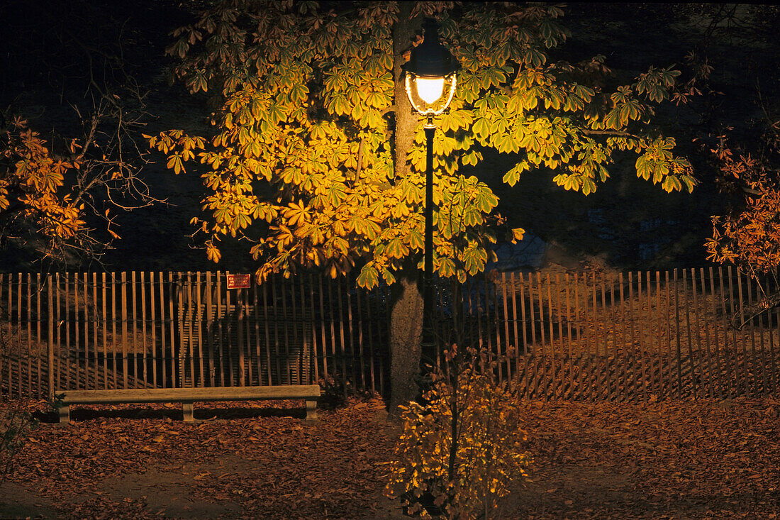 Straßenlampe im Park, Tuileriengarten, Allee, Herbst, 1. Arrondissement, Paris, Frankreich