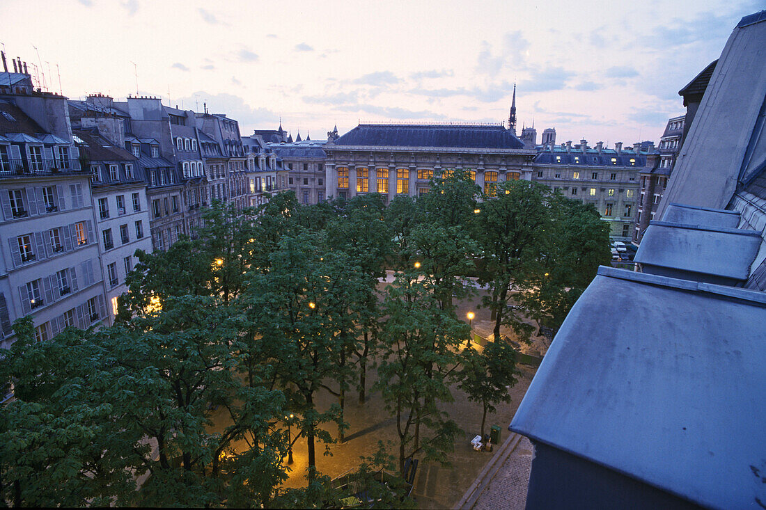 Blick auf Bäume auf dem Place Dauphine von 1607 am Abend, 1. Arrondissement, Ile de la Cité, Paris, Frankreich, Europa