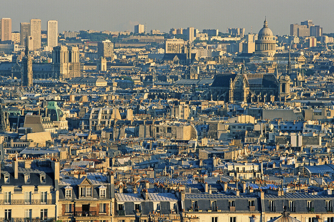 View of roofs of Paris in the evening sun, Paris, France, Europe