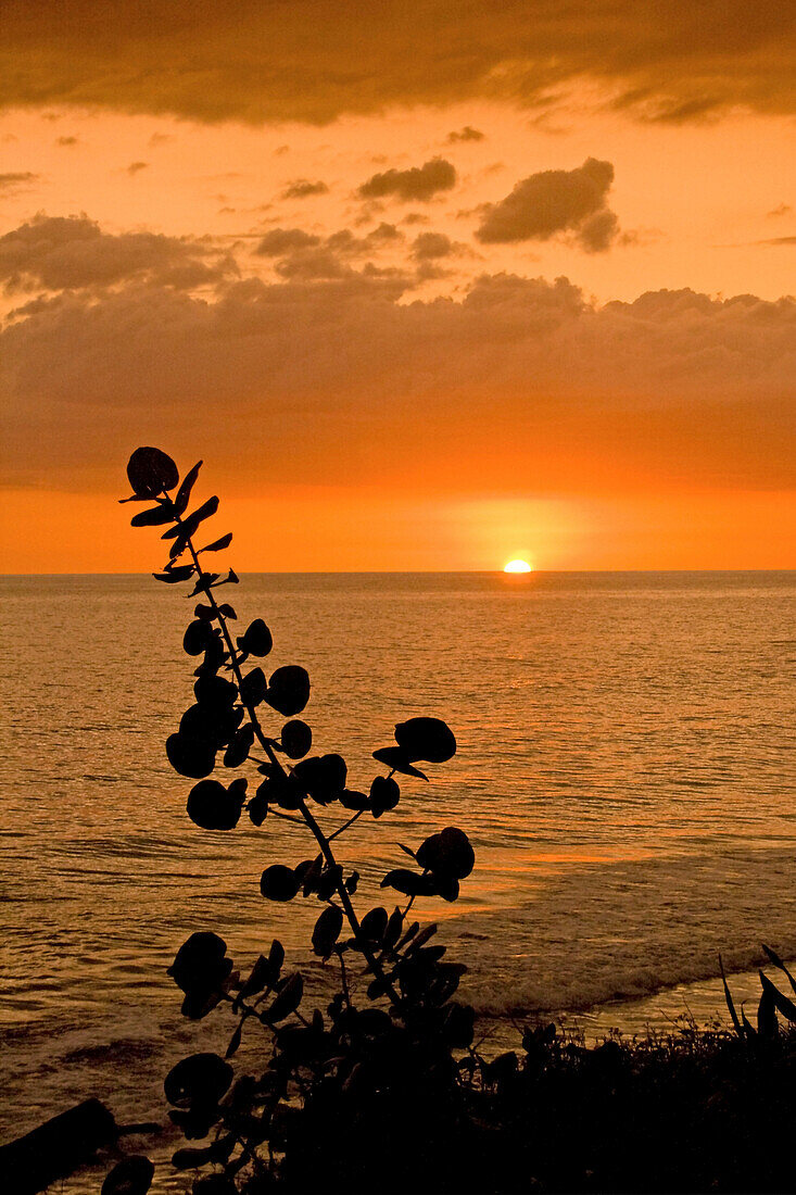 Jamaika Treasure beach Sonnenuntergang