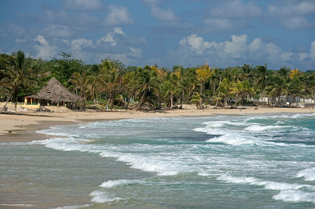 Jamaika Long bay  an der Ostküste nach Verwüstung durch Hurrikane Dean im August 2007
