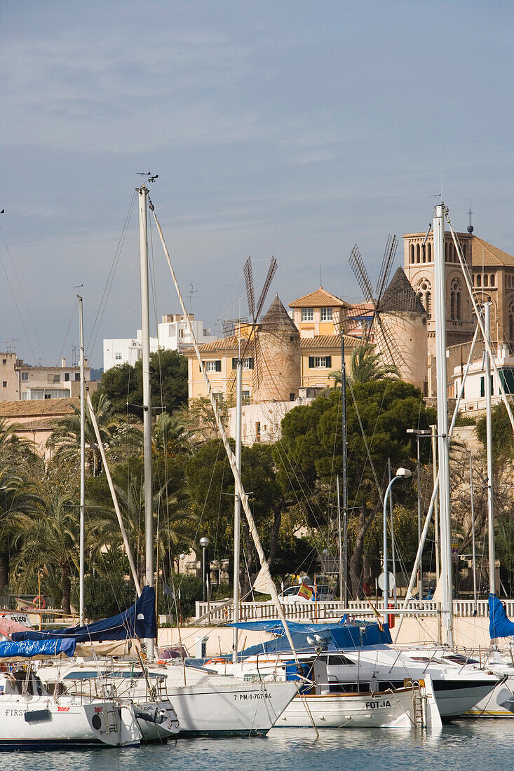 Sailboats and Windmills, Palma, Mallorca, Balearic Islands, Spain