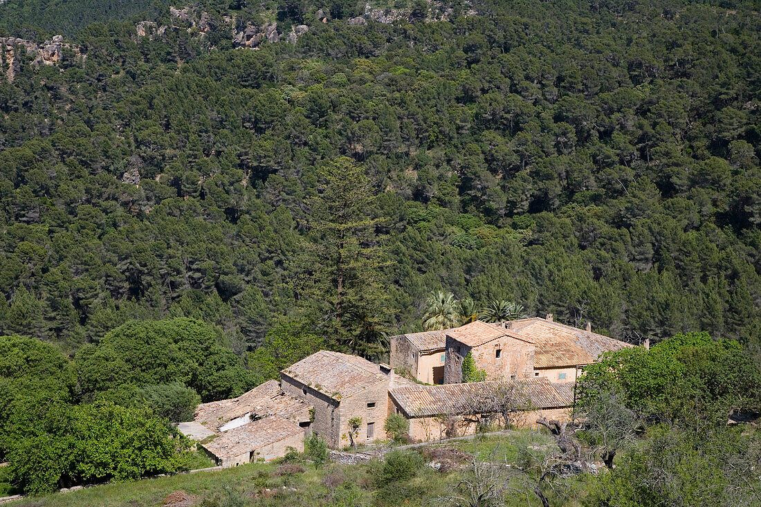 Blick auf alte Finca nahe Valldemossa, Mallorca, Balearen, Spanien, Europa