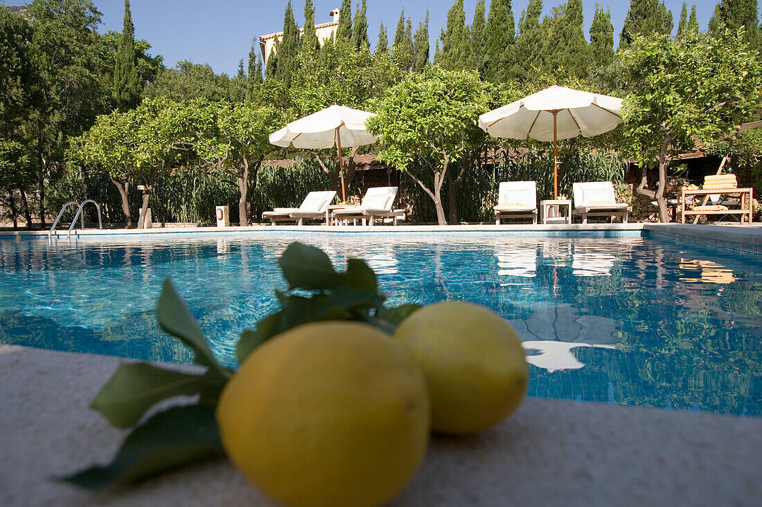 Zitronen und Schwimmbad des Finca Hotel CanColl, Soller, Mallorca, Balearen, Spanien, Europa