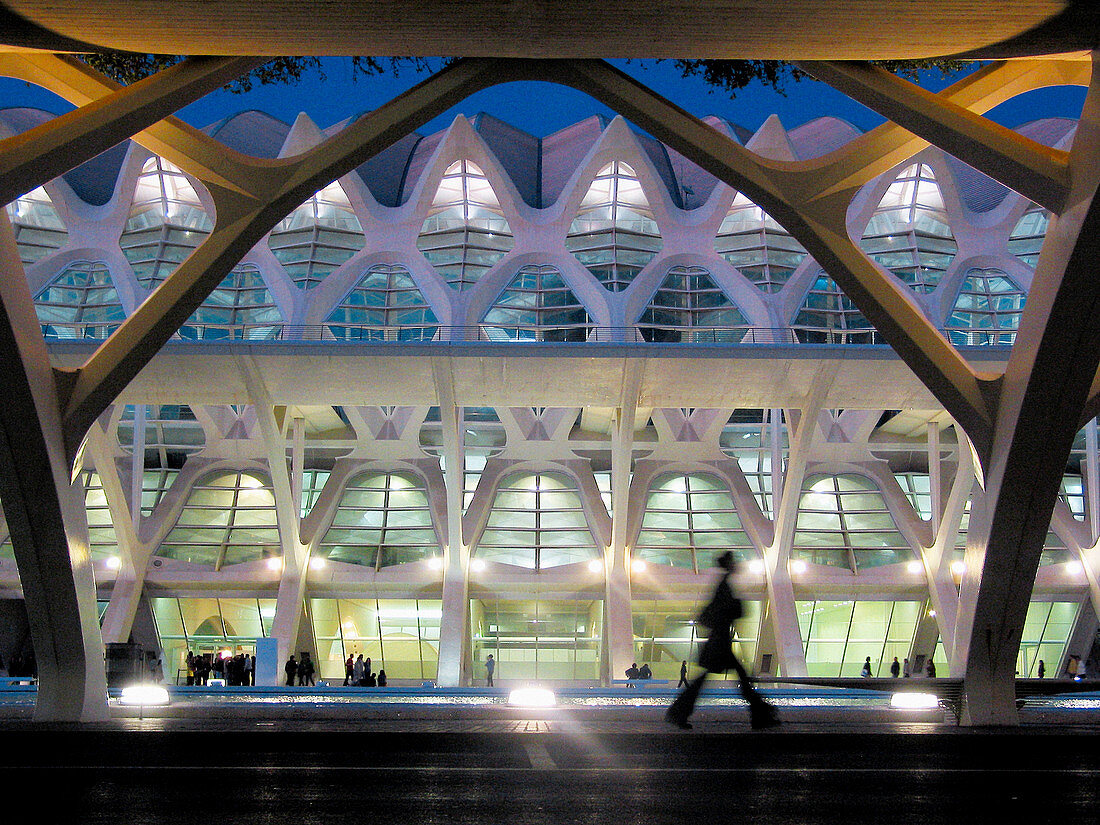 Science Museum Principe Felipe, City of Arts and Sciences. Valencia. Spain