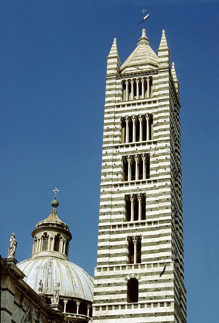 Belfry of the Duomo cathedral. Siena. Tuscany. Italy