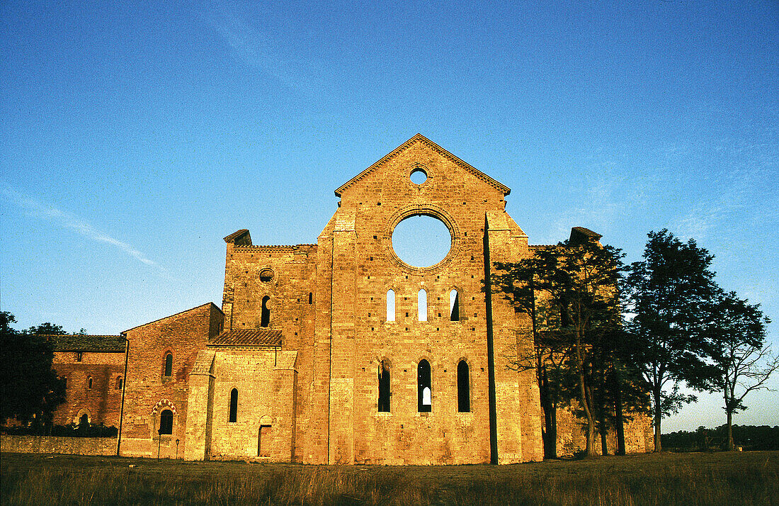 Ruins of the Gothic Abbey of San Galgano. Tuscany. Italy