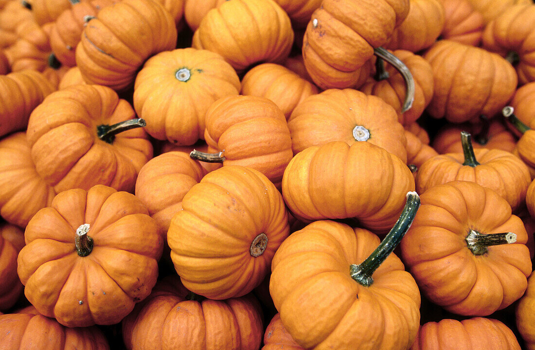 Orange pumpkins