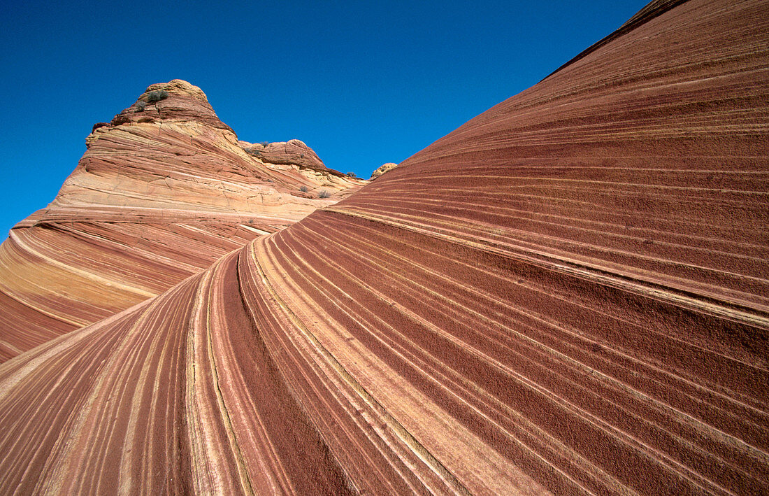 The Wave sandstone formation. North Coyote Buttes. Paria Canyon-Vermillion Cliffs Wilderness. Arizona, USA