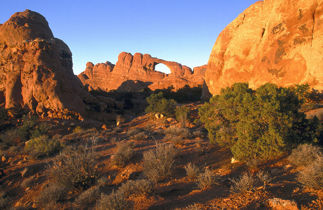 Arches National Park. Utah, USA