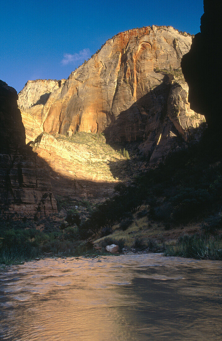 Mountains and Virgin River in the evening. Zion National Park. Utah, USA