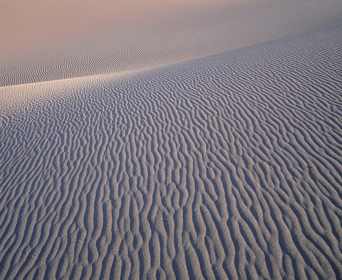 Sand dunes in Death Valley National Park. California. USA