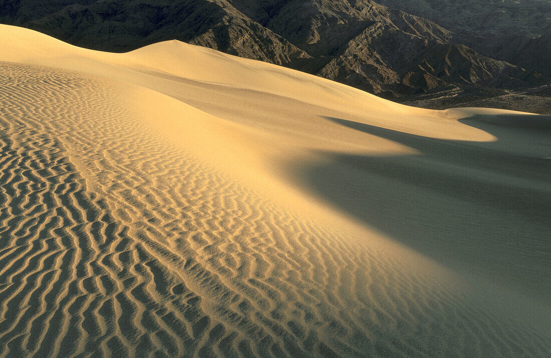 Sand dunes in Death Valley National Park. California. USA