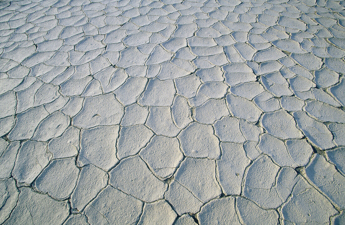 Dry mud in Death Valley NP. California. USA