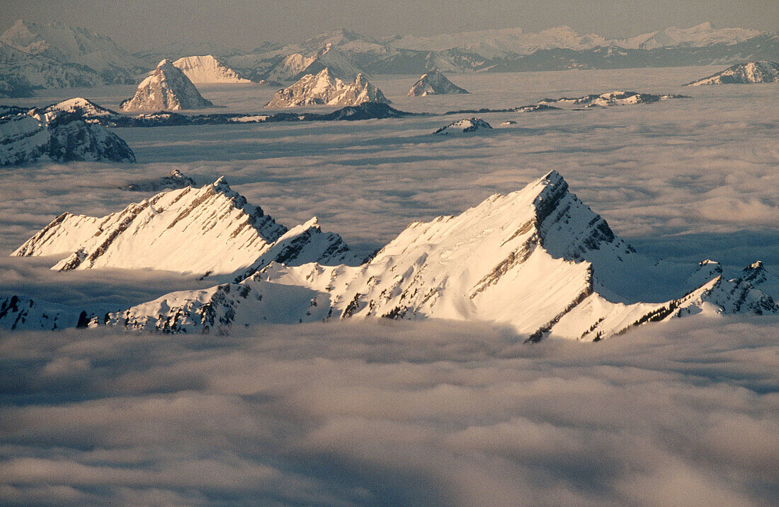 Mount Speer with fog in the morning light. View from the Saentis. Appenzell. Switzerland.