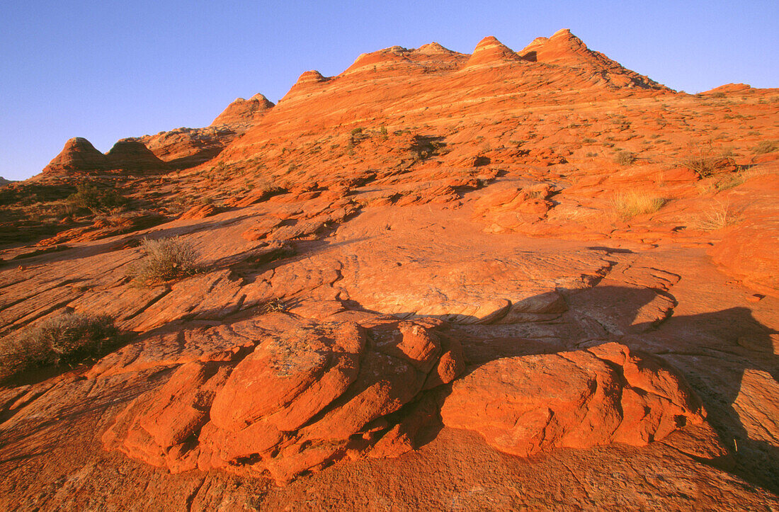 Sandstone landscape. Paria Canyon Vermillion Cliffs Wilderness. North Coyote Buttes. Arizona. USA.
