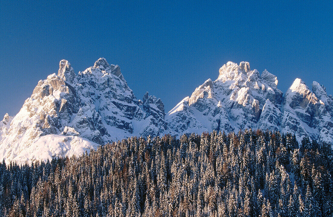 Monte Agudo, near Auronzo. Dolomites. South Tirol. Italy.