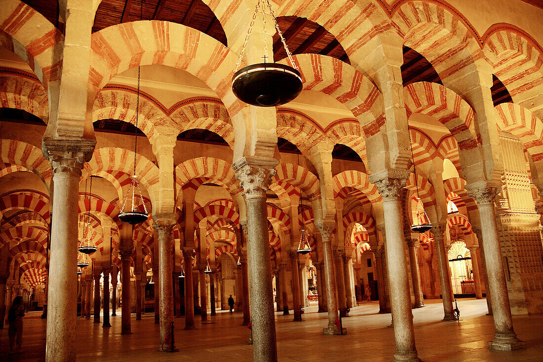 Mosque of Cordoba. Andalusia. Spain