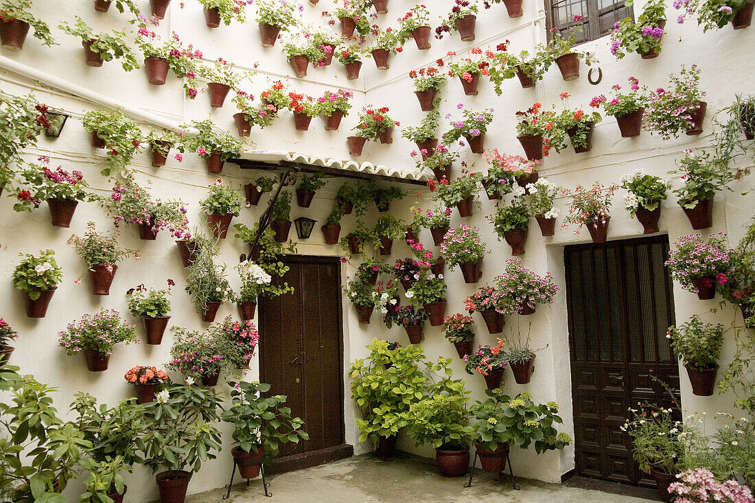 Typical courtyard, Córdoba. Andalusia, Spain