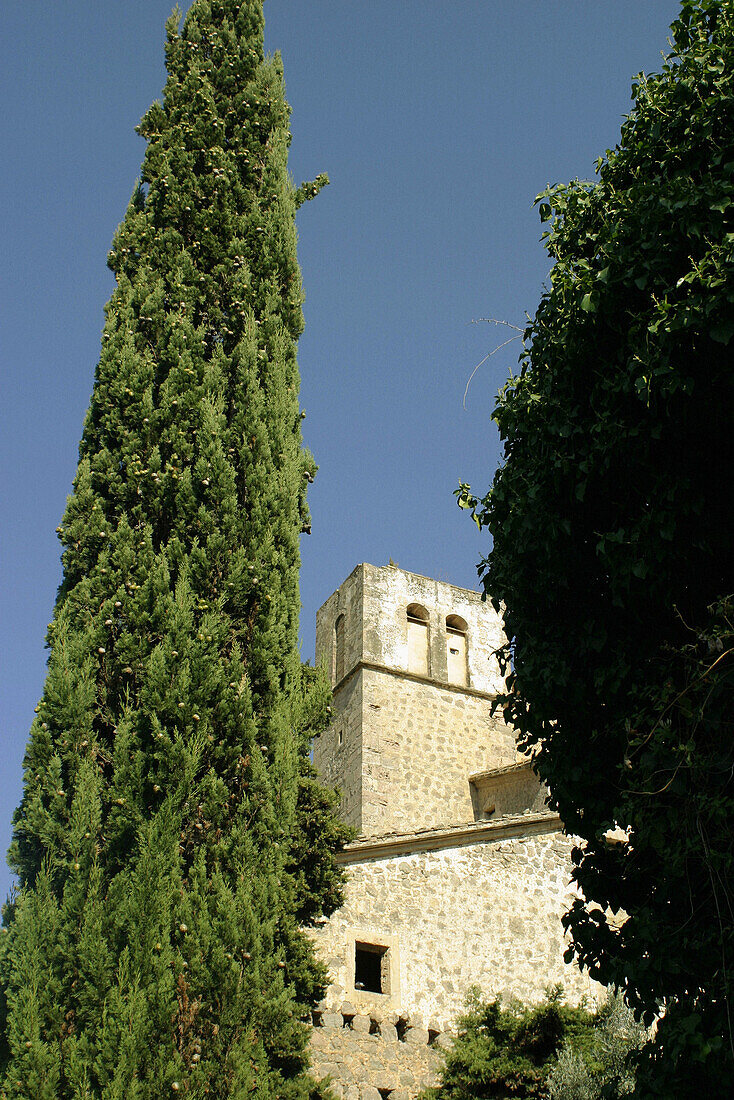 Carthusian monastery founded in 1399. Valldemossa. Majorca, Balearic Islands. Spain