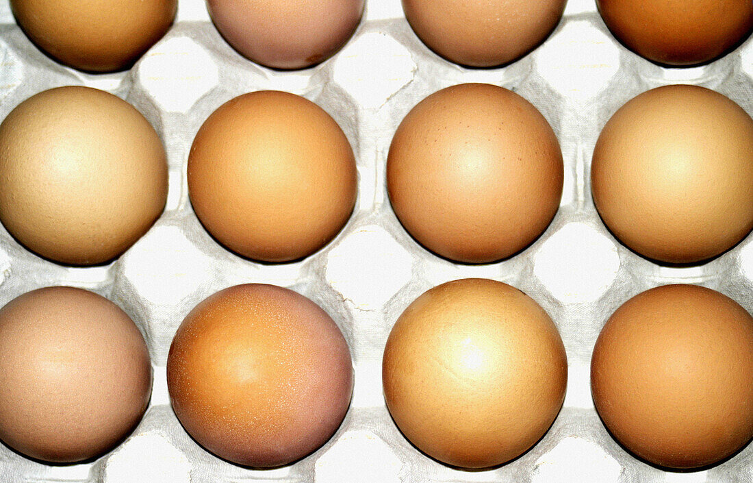 Eggs