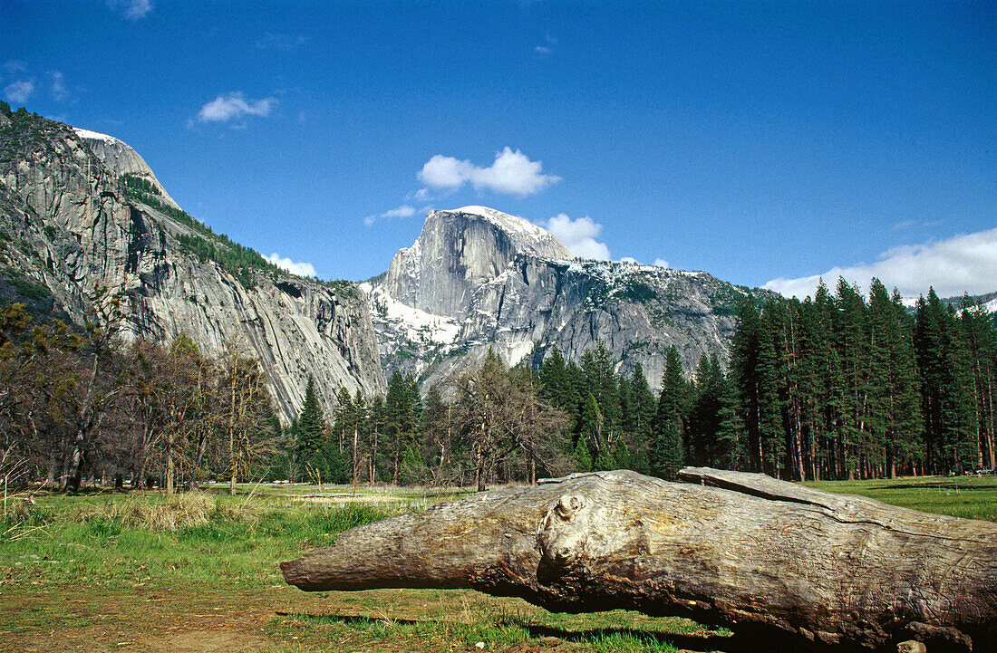 Yosemite National Park. California. USA