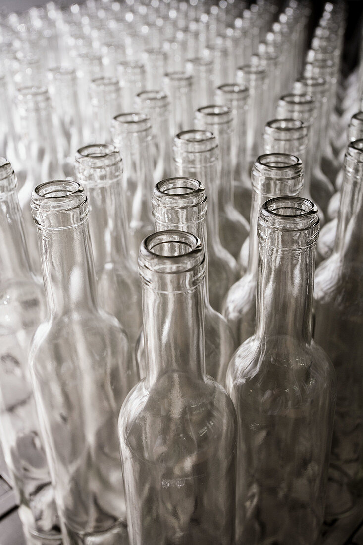 Glass bottles in bottling plant, Torís. Ribera Alta, Valencia province, Comunidad Valenciana, Spain