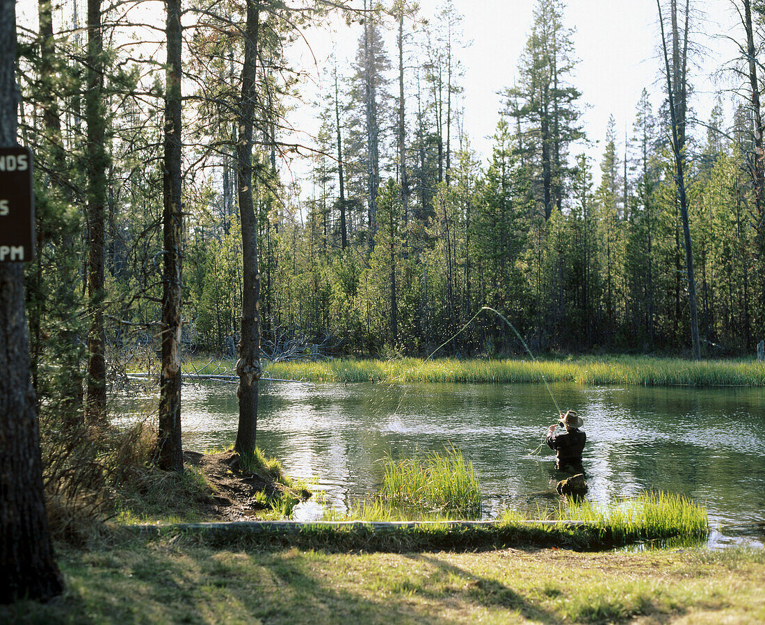 Woman fly-fishing. Fall River. Deschutes National Forest. Bend. Oregon. USA