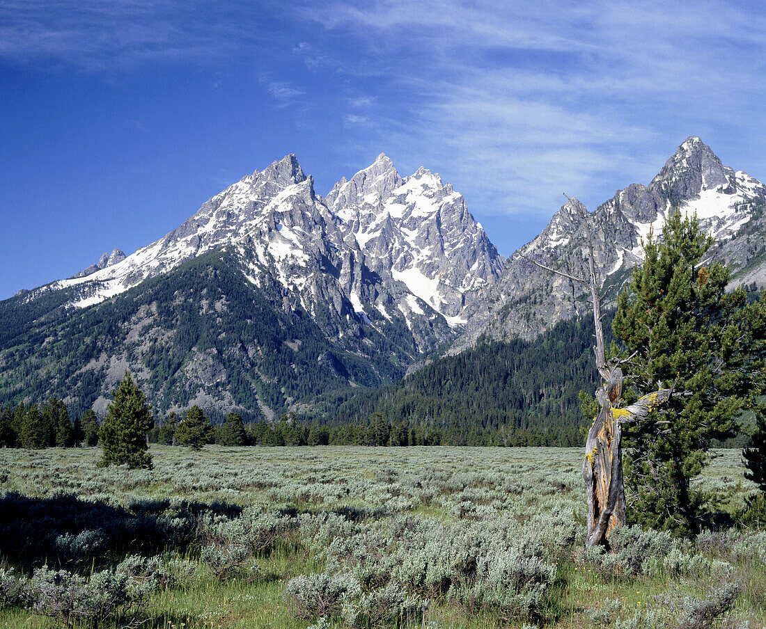 Grand Teton Range and snow. Grand Teton National Park. Wyoming, USA