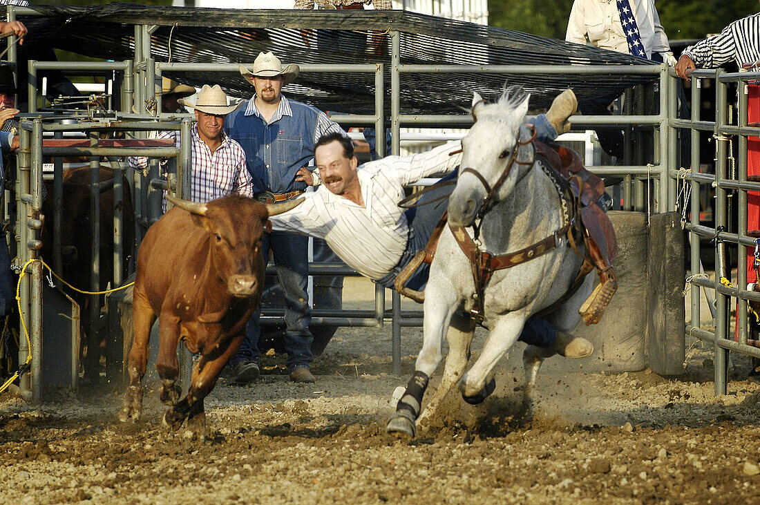 Action at a rodeo. 4-H Fair