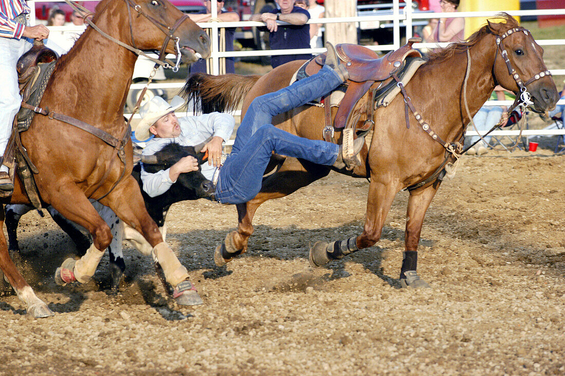 Action at rodeo during fair