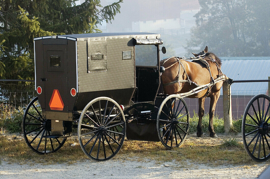 Amish life in Millersburg and Sugrar Creek Holms County Ohio