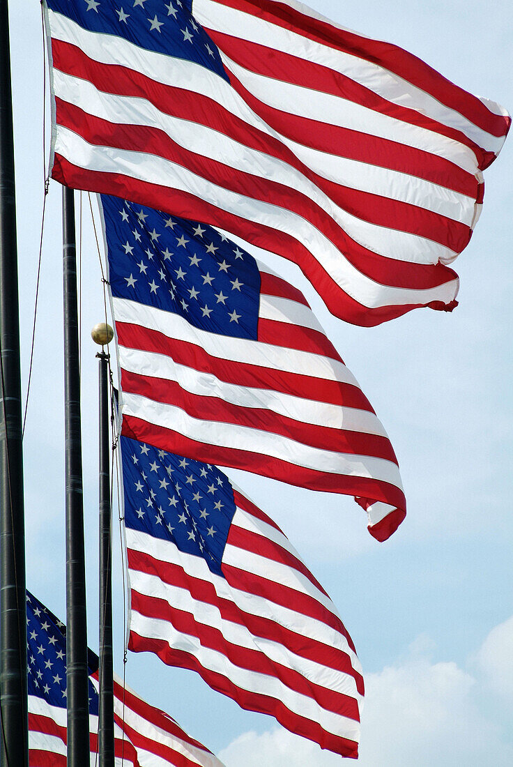 United State Flags fly in a breeze
