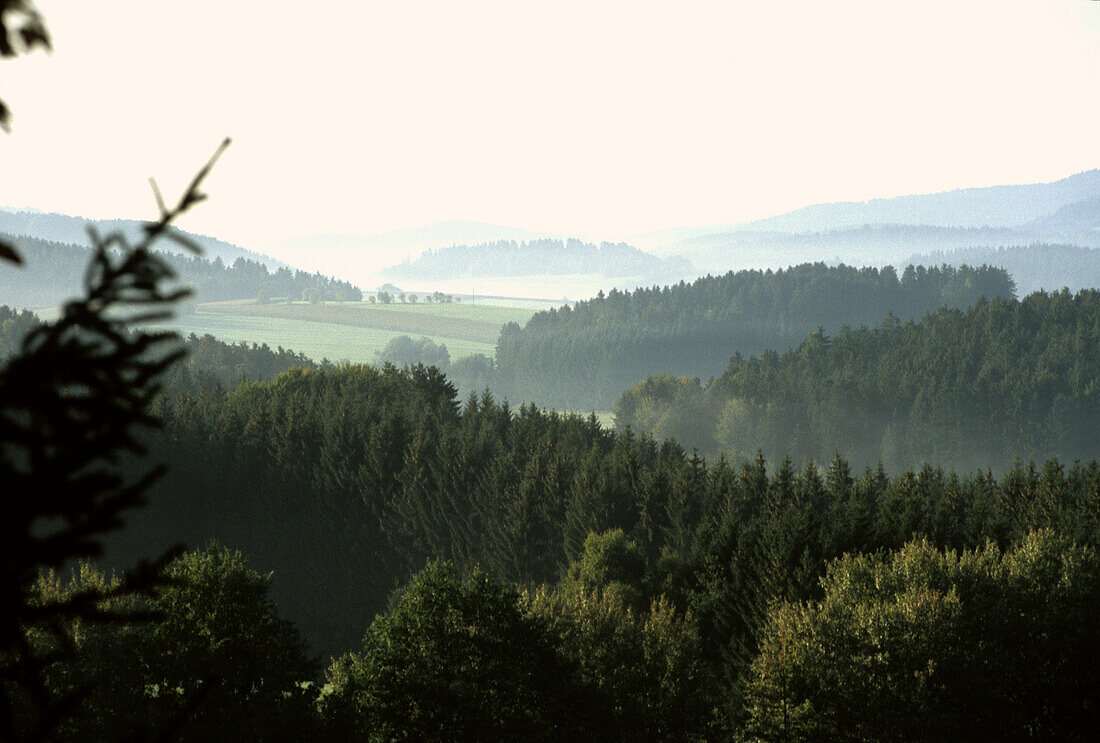 Landscape near Grafenau, Bavarian Forest, Lower Bavaria, Bavaria, Germany